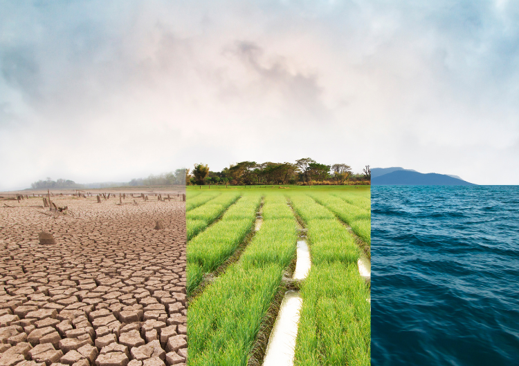 Em um cenário de eventos meteorológicos extremos mais frequentes, o risco climático passa a ocupar posição central nas decisões econômicas e estratégicas das empresas brasileiras. Mais do que prever chuva ou calor, empresas e investidores agora precisam antecipar impactos financeiros, operacionais e estruturais associados às condições meteorológicas.